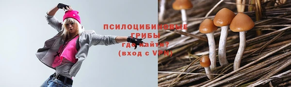 a pvp Алексеевка