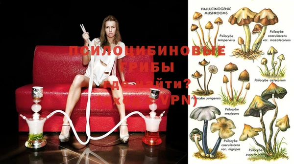 амф Абинск