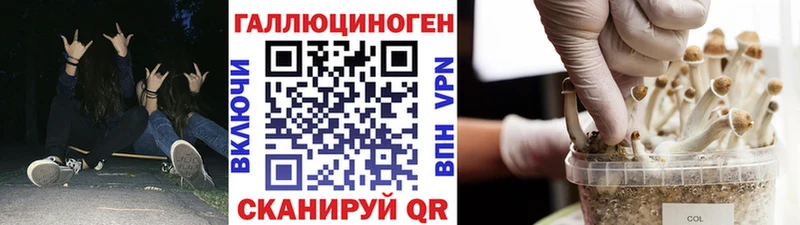 Галлюциногенные грибы Psilocybe  Холмск 